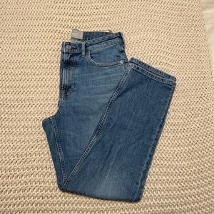 Everlane High Rise Straight Jean